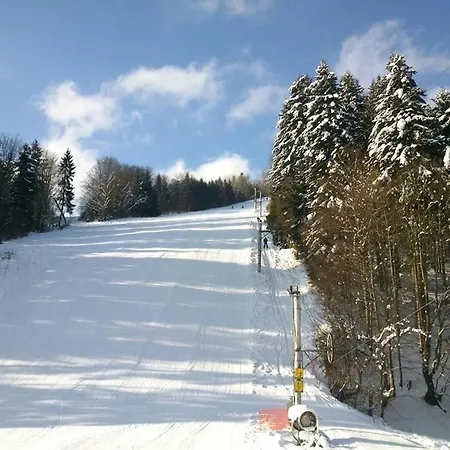 Horsky Podjavornik 3*