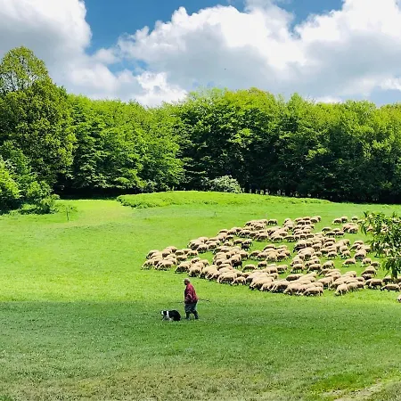 Hotel Horský Podjavorník Papradno