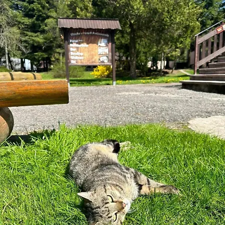 Horský Podjavorník Hotel Papradno