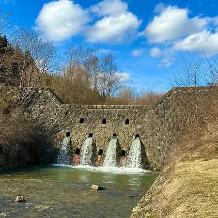 Horsky Podjavornik 3*