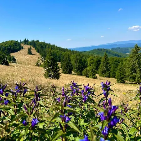 Horský Podjavorník Papradno