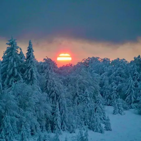 Horsky Podjavornik 3* Papradno