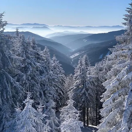 Horsky Podjavornik