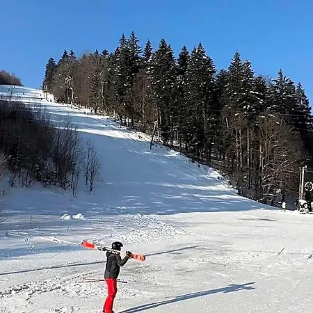 Horsky Podjavornik 3*