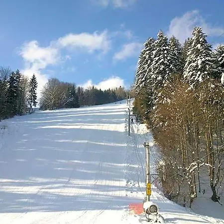 מלון Horsky Podjavornik 3*