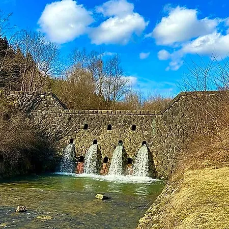 Horsky Podjavornik
